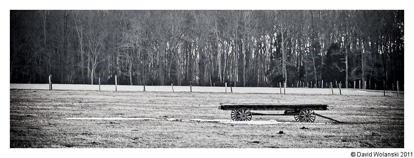 Amish Farm Wagon in Field near Dover, DE