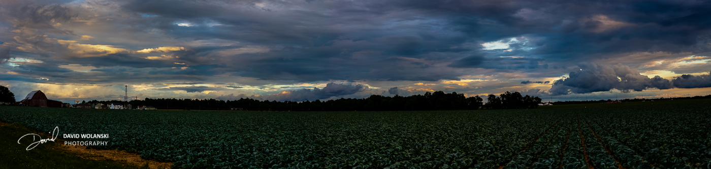 Panoramic view of the Papen Farm west of Dover, Delaware. 