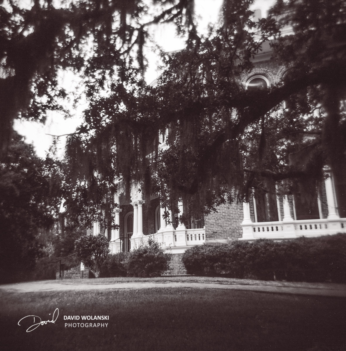 When I think of the deep south, I always think of Spanish Moss. Of course this mansion had plenty