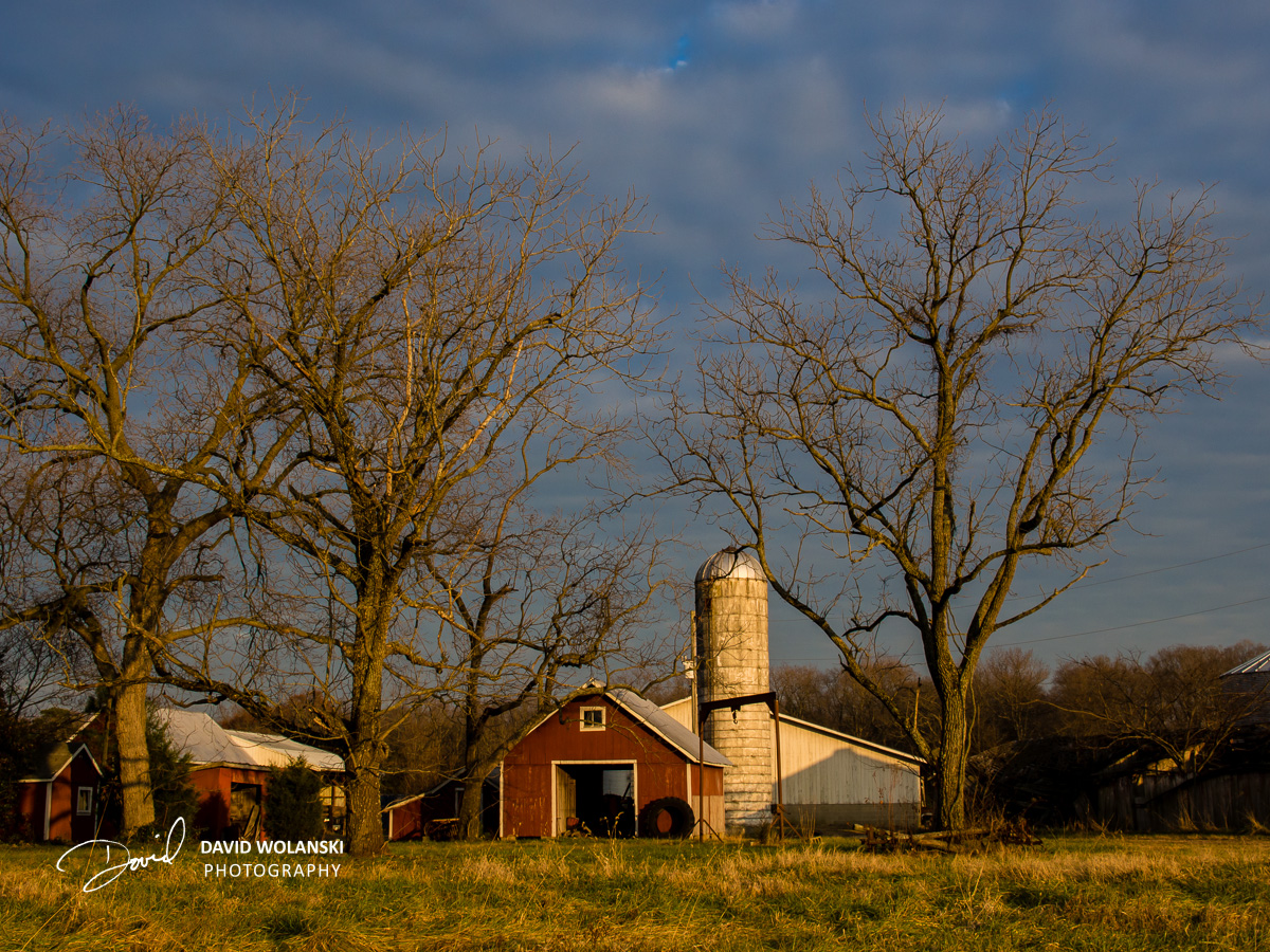 I loved the light and the frame made by the trees with the barn and silo behind them