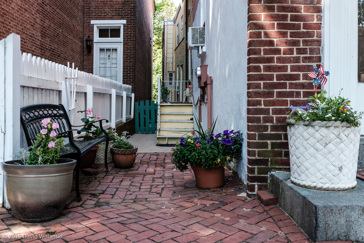 View of Flowers in an Alley in Old New Castle Delaware