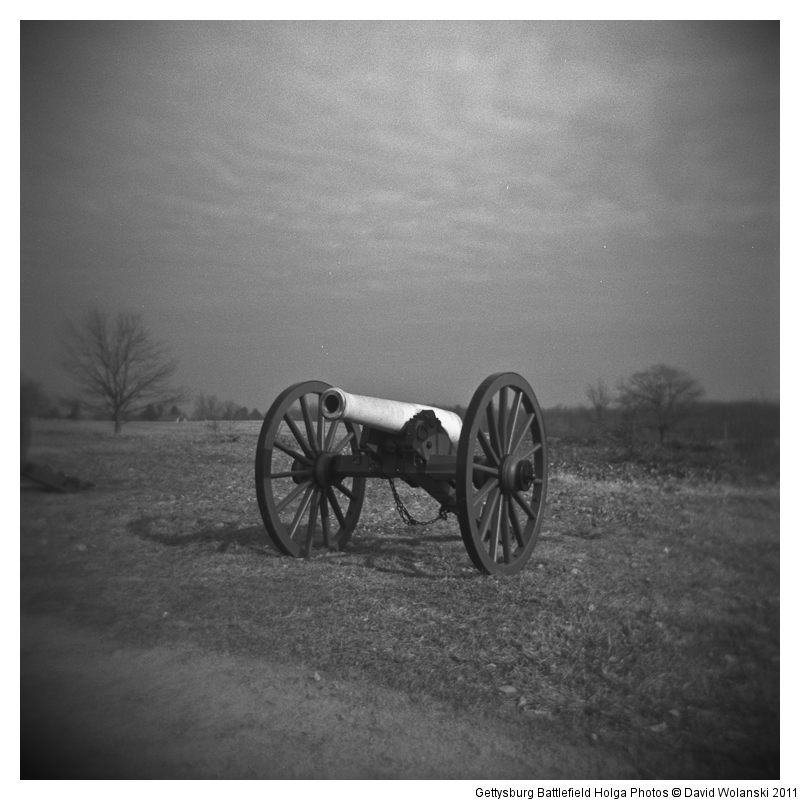Canon and Tree at Gettysburg Battlefield