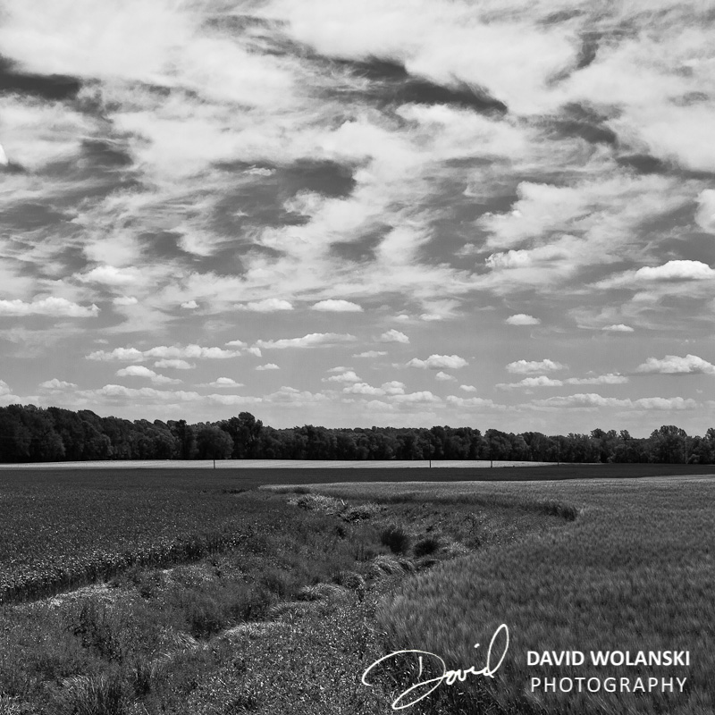 Wheatfield S Curves and Clouds in B&W